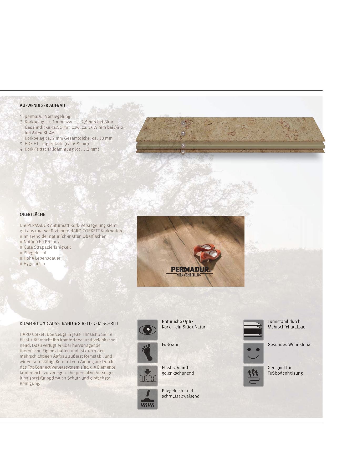 Page Background