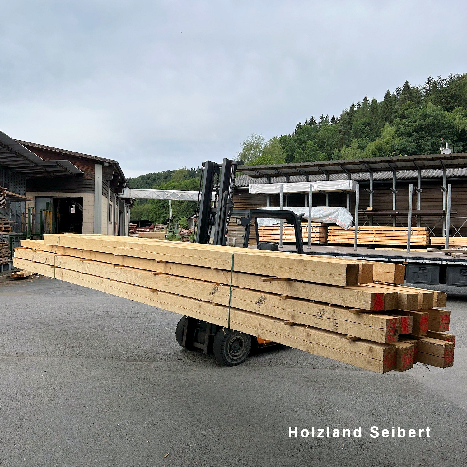 Bauholz sägerau